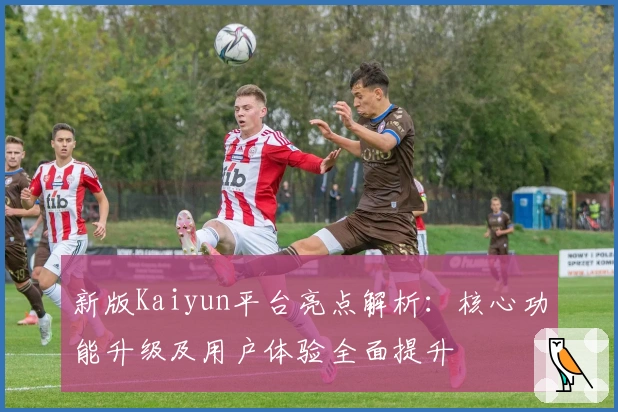 新版Kaiyun平台亮点解析：核心功能升级及用户体验全面提升