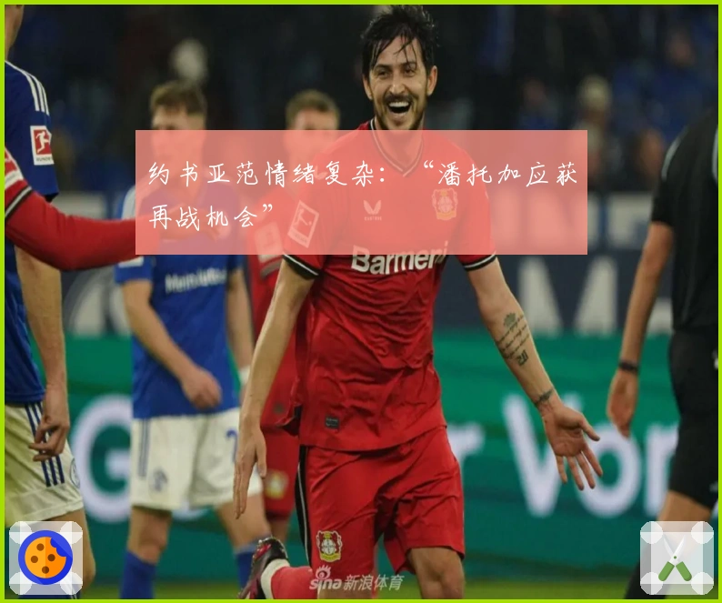 约书亚范情绪复杂：“潘托加应获再战机会”